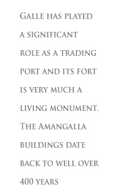 Two luxury hotels and hideaways in Sri Lanka from Amanresorts