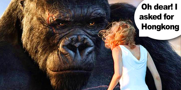 Search choices abound in 2025