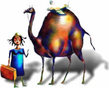 The single woman traveller